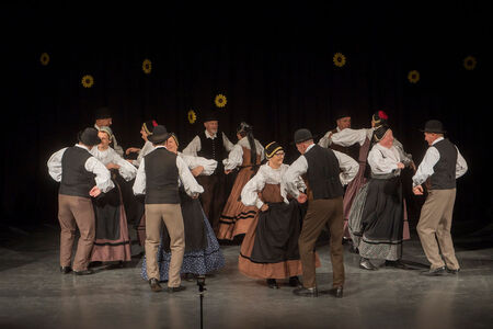 Maroltovo srečanje znova združilo koroške folklorne skupine (12)